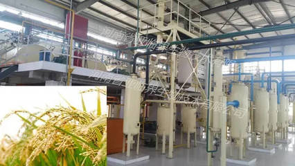 低温亚临界流体萃取米糠油工艺 提升农副产品附加值的绿色技术